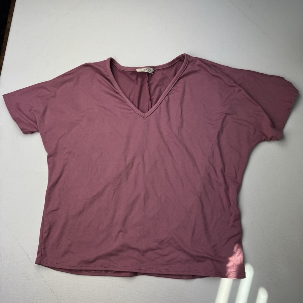 Laura Rae Womens XS Mauve V Neck Top Dolman Sleeve Oversized Stretch Made USA